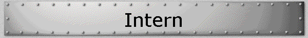  Intern 